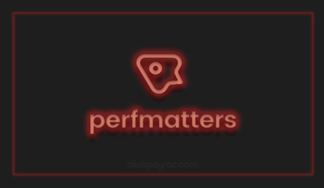 Sitenizi Uçuracak Perfmatters Ayarları! | Perfmatters Nedir?