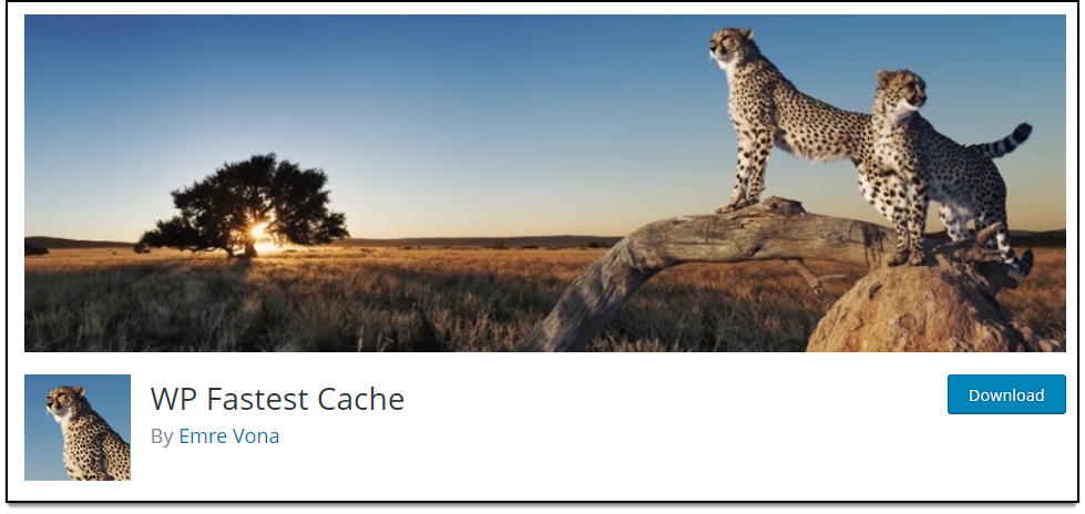 WP Fastest Cache |  wordpress cache eklentisi | Wordpress Cache Eklentisi Önerisi - En iyi cache eklentisi ne?